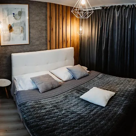 Apartment Ah Zizkova *