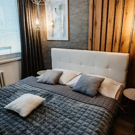 Apartment Ah Zizkova *