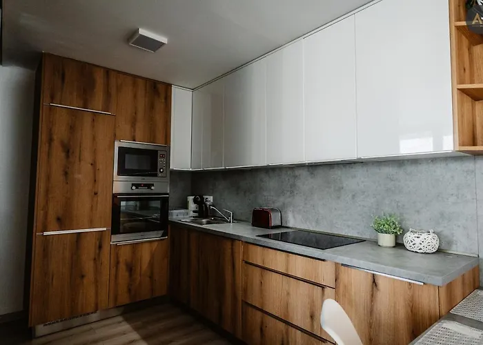 Ah Zizkova Apartman *